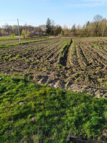 Działka rolno-budowlana Dąbrowica. Zdjęcie 1