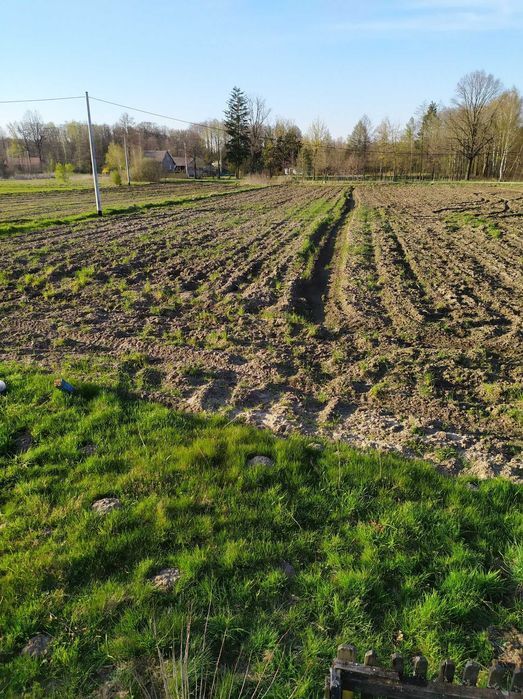 Działka rolno-budowlana Dąbrowica