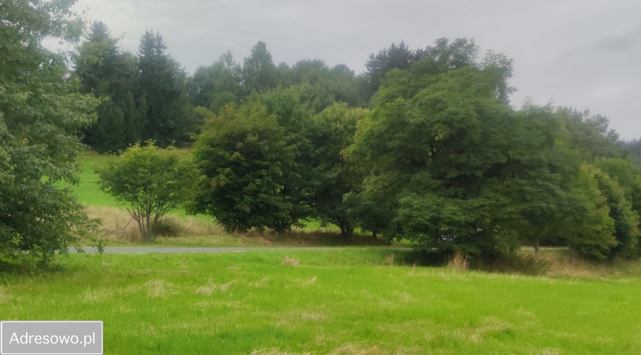 Działka inna Bartnica