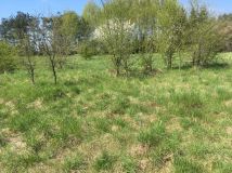 Działka budowlana Sokołów Podlaski, ul. Olszowa. Zdjęcie 2