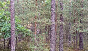 Działka leśna Korczów