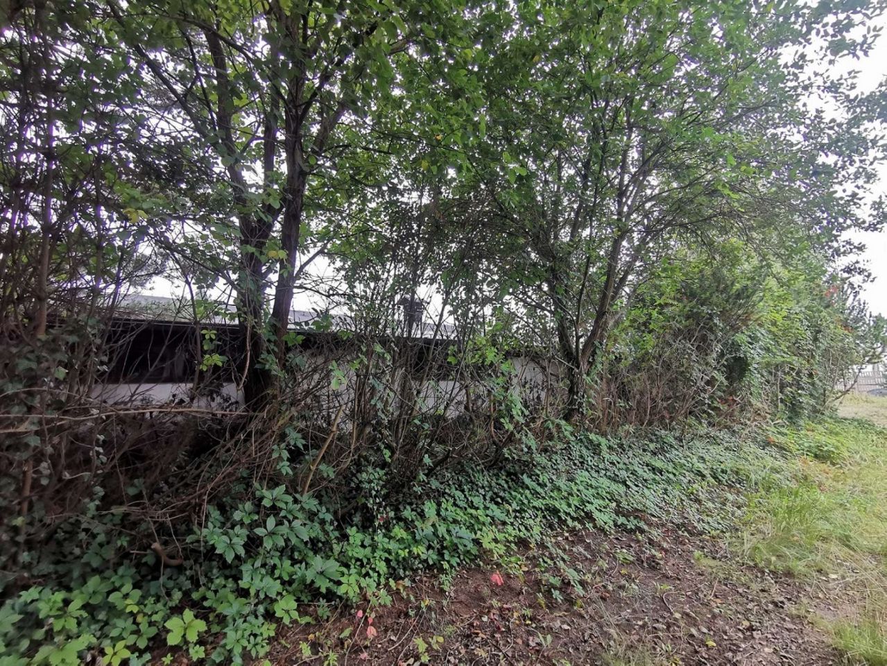 Hala/magazyn Złotów. Zdjęcie 8