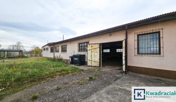 Lokal Krosno, ul. Kazimierza Pużaka