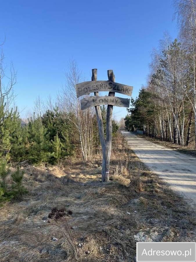 Działka siedliskowa Wytyczno. Zdjęcie 3