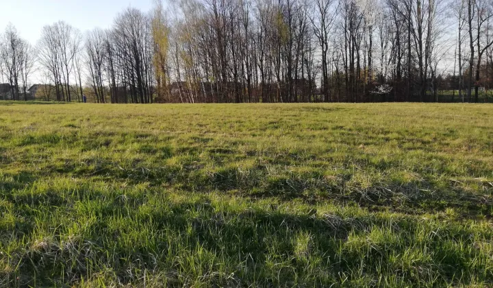 Działka budowlana Pisarzowice