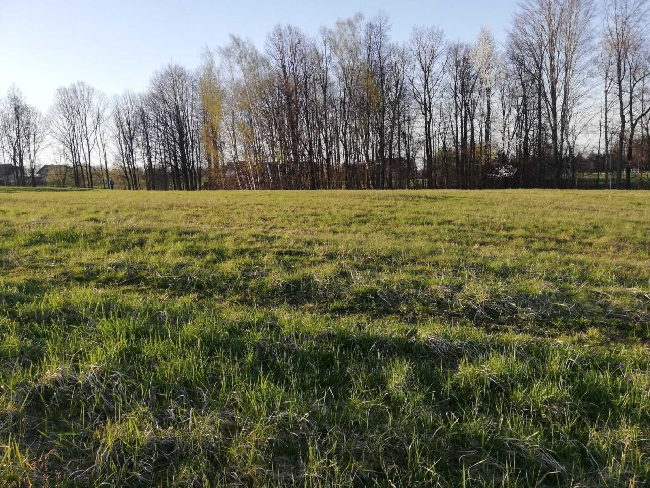 Działka budowlana Pisarzowice. Zdjęcie 1