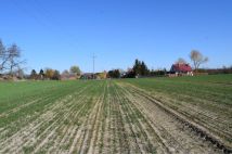 Działka budowlana Chmielinko. Zdjęcie 4