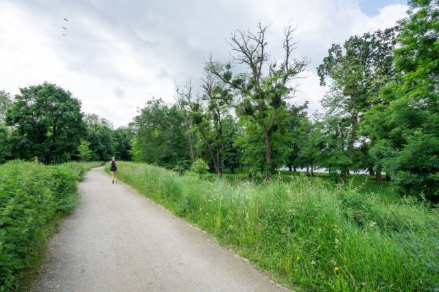 Mieszkanie 3-pokojowe Wrocław Osobowice, ul. Osobowicka. Zdjęcie 13