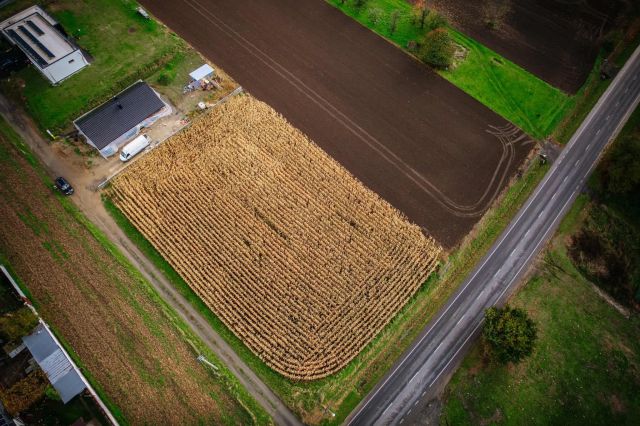 Działka budowlana Pietrowice Wielkie. Zdjęcie 6