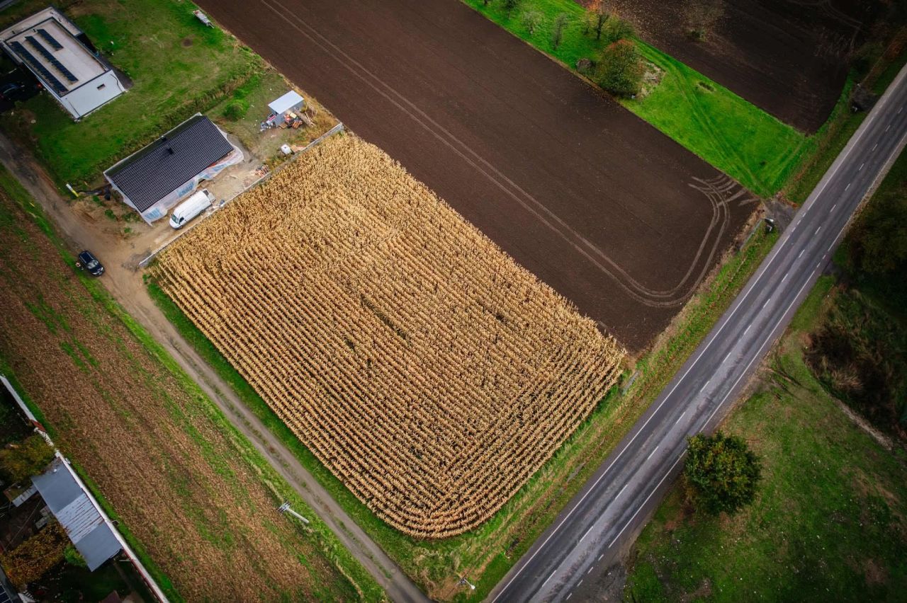 Działka budowlana Pietrowice Wielkie. Zdjęcie 6
