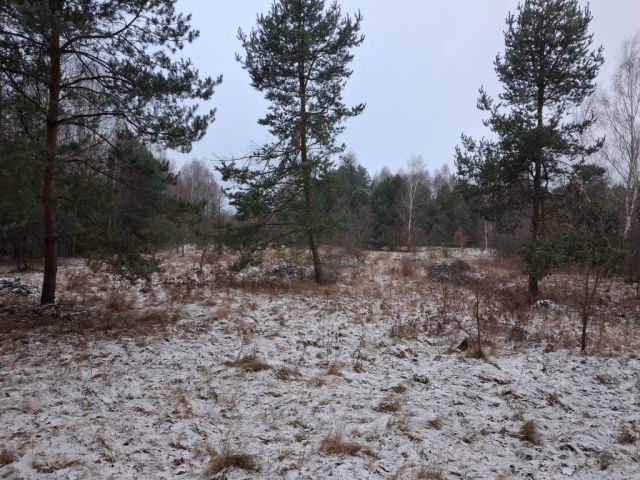 Działka rolna Stanisławów. Zdjęcie 6