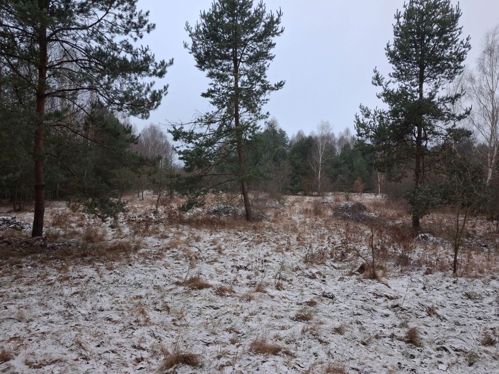 Działka rolna Stanisławów. Zdjęcie 6