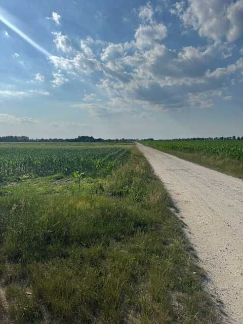Działka rolna Marcinkowice. Zdjęcie 5