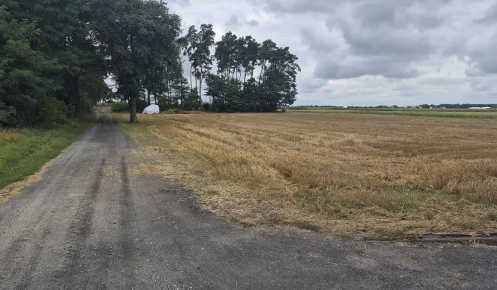 Działka budowlana Pięczkowo, ul. Leśna