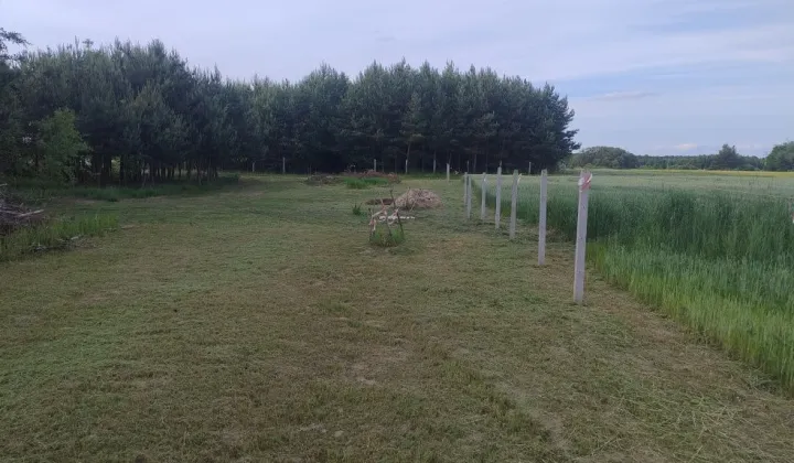 Działka rolna Błota