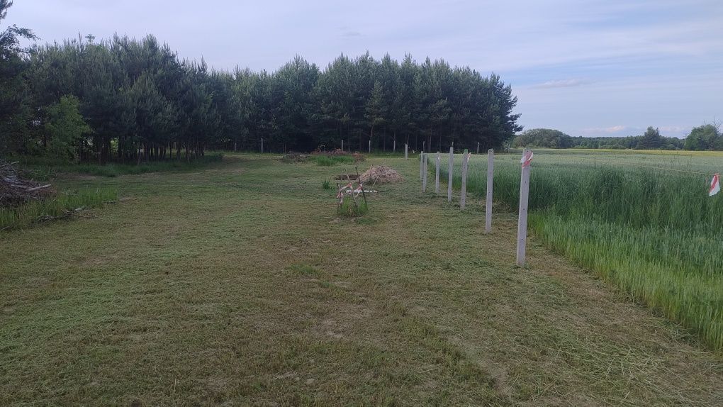 Działka rolna Błota. Zdjęcie 1