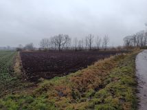 Działka budowlana Wierzbica. Zdjęcie 2