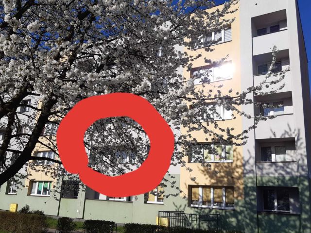 Mieszkanie 2-pokojowe Mysłowice Wesoła, ul. Piastów Śląskich. Zdjęcie 1