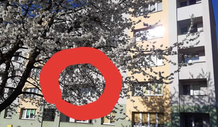 Mieszkanie 2-pokojowe Mysłowice Wesoła, ul. Piastów Śląskich