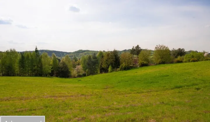 Działka rolno-budowlana Raciechowice