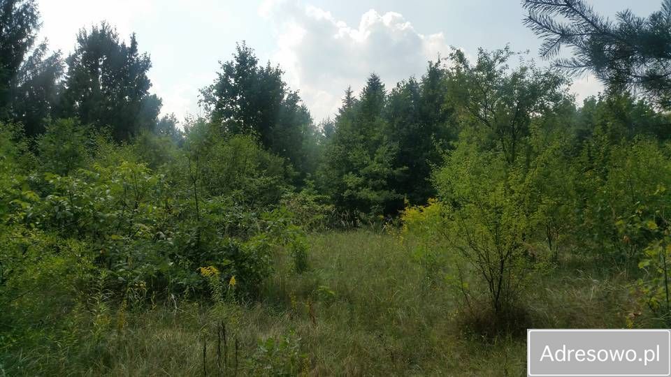 Działka rolna Swędów. Zdjęcie 2