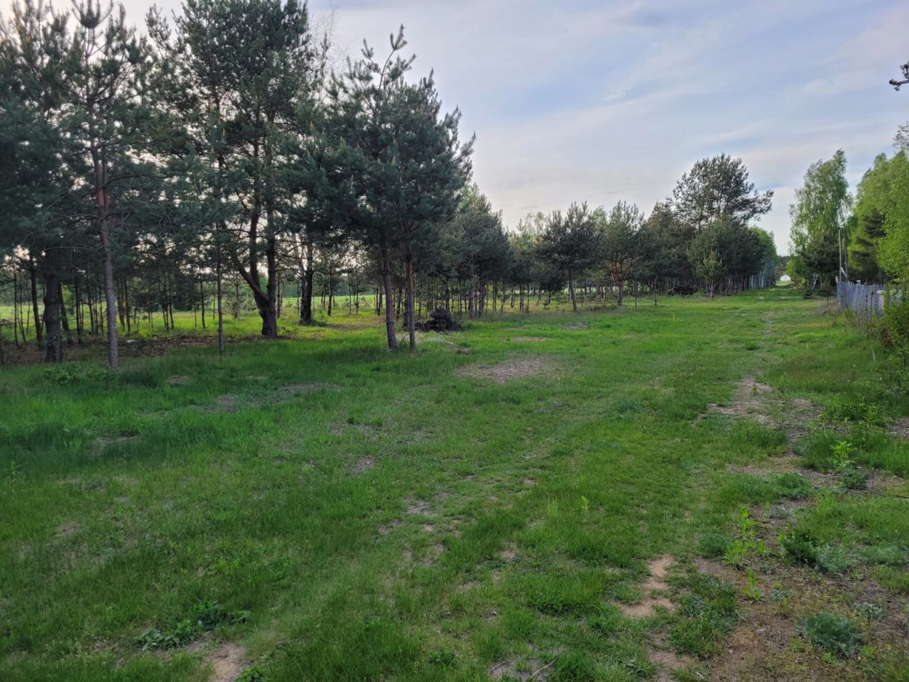 Działka budowlana Ludwinów. Zdjęcie 6