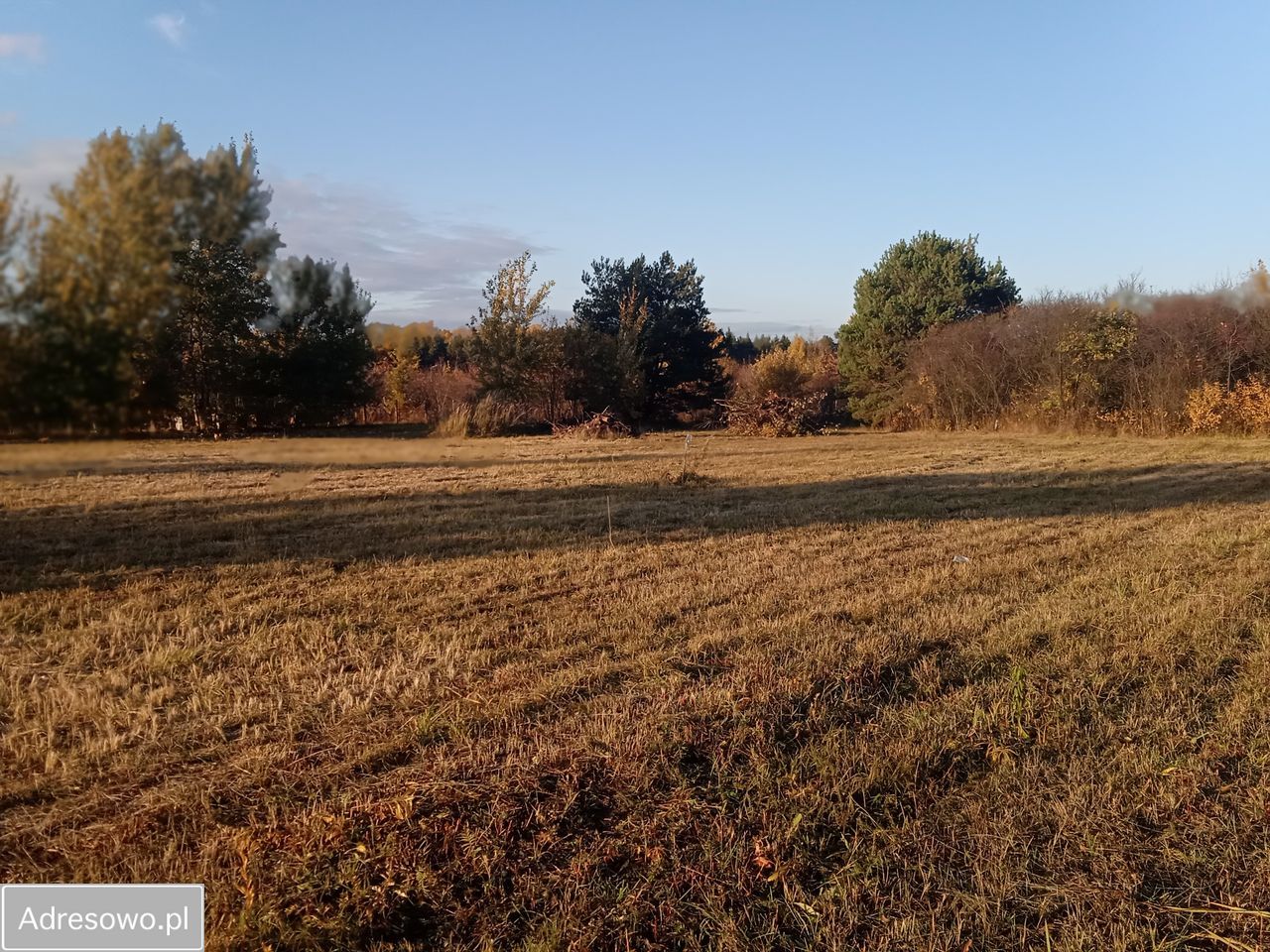 Działka budowlana Tarczyn, ul. Wąska. Zdjęcie 13