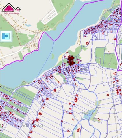 Działka leśna Tręby Stare. Zdjęcie 2