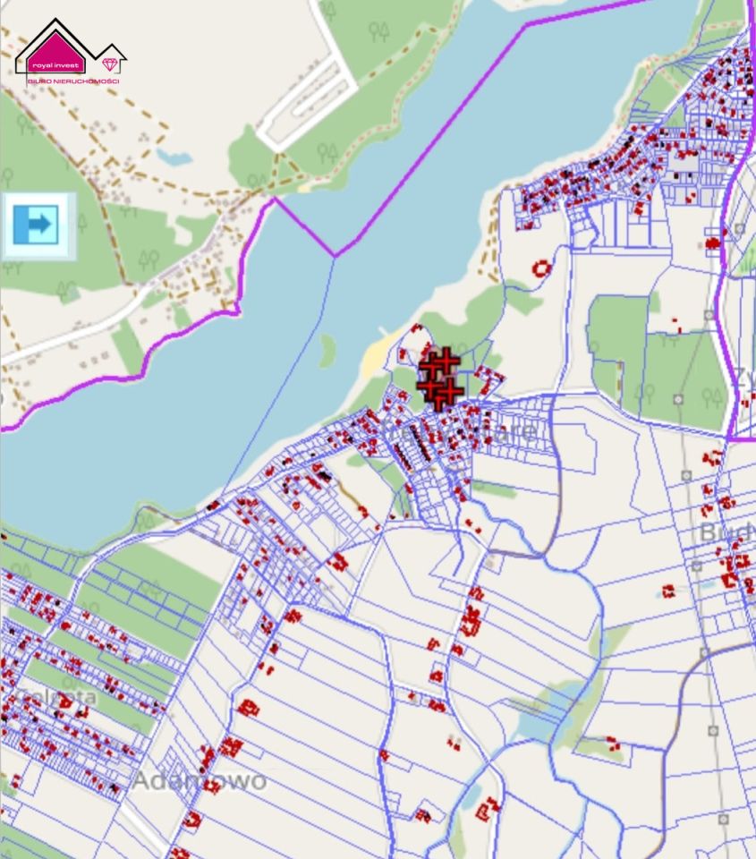 Działka leśna Tręby Stare. Zdjęcie 2