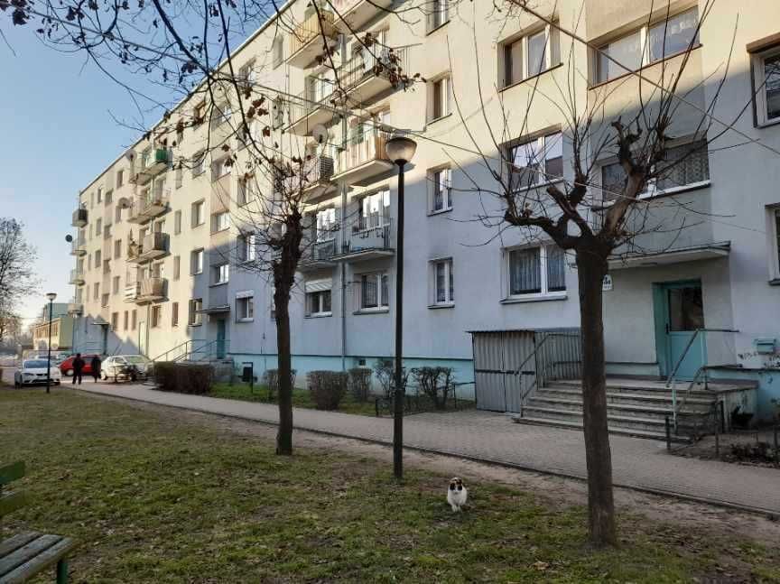 Mieszkanie 2-pokojowe Wschowa, ul. Boczna 3B