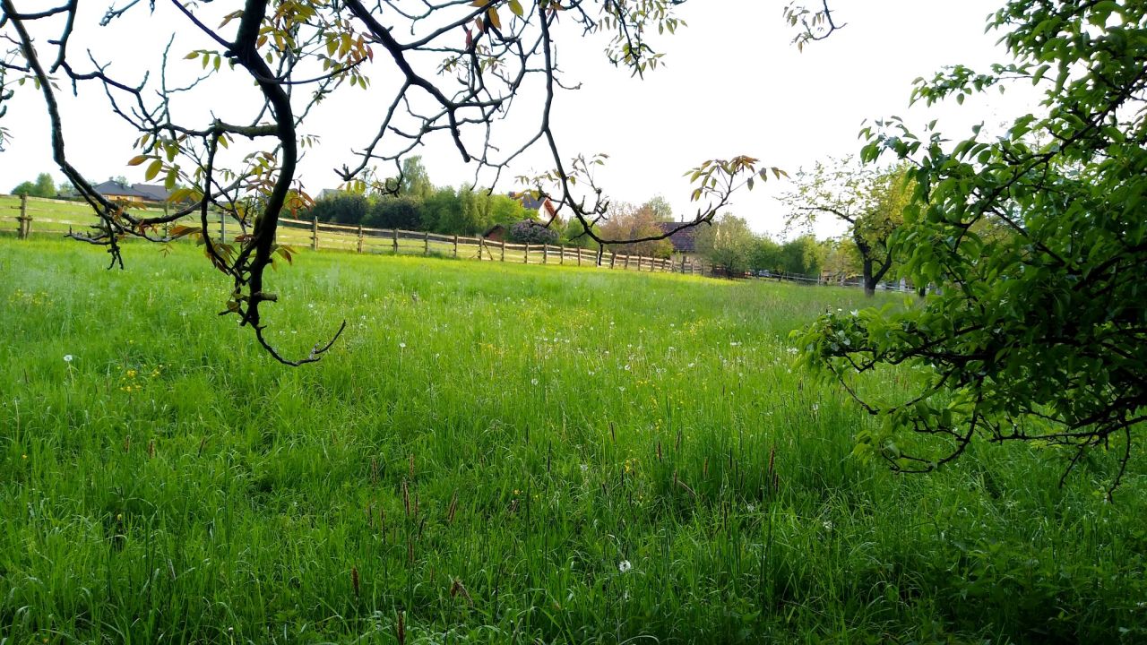 dom wolnostojący, 3 pokoje Cieszyn Pastwiska. Zdjęcie 9