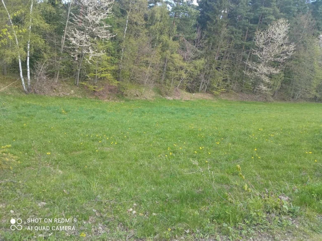 Działka budowlana Pcim. Zdjęcie 2