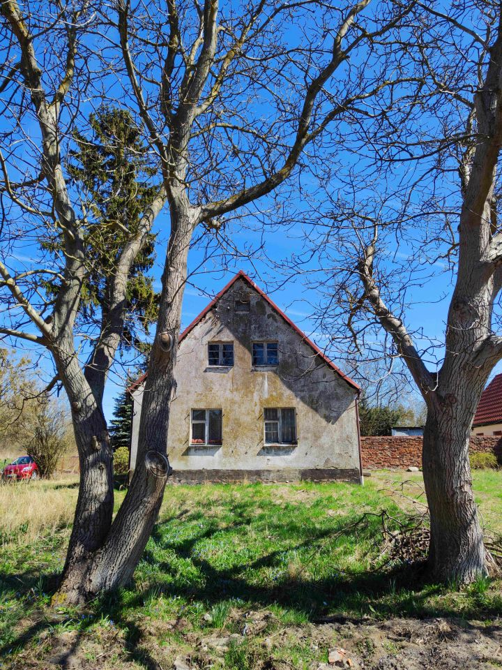 bliźniak, 4 pokoje Trzcińsko-Zdrój, ul. Polna. Zdjęcie 3