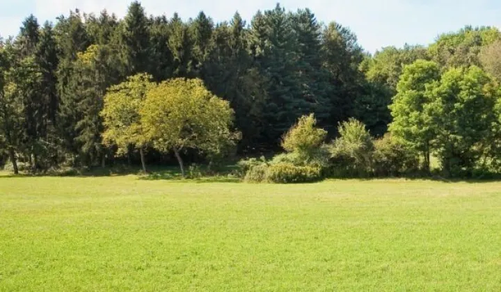 Działka budowlana Halinów