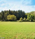 Działka budowlana Halinów