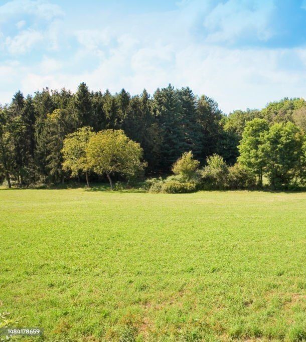 Działka budowlana Halinów