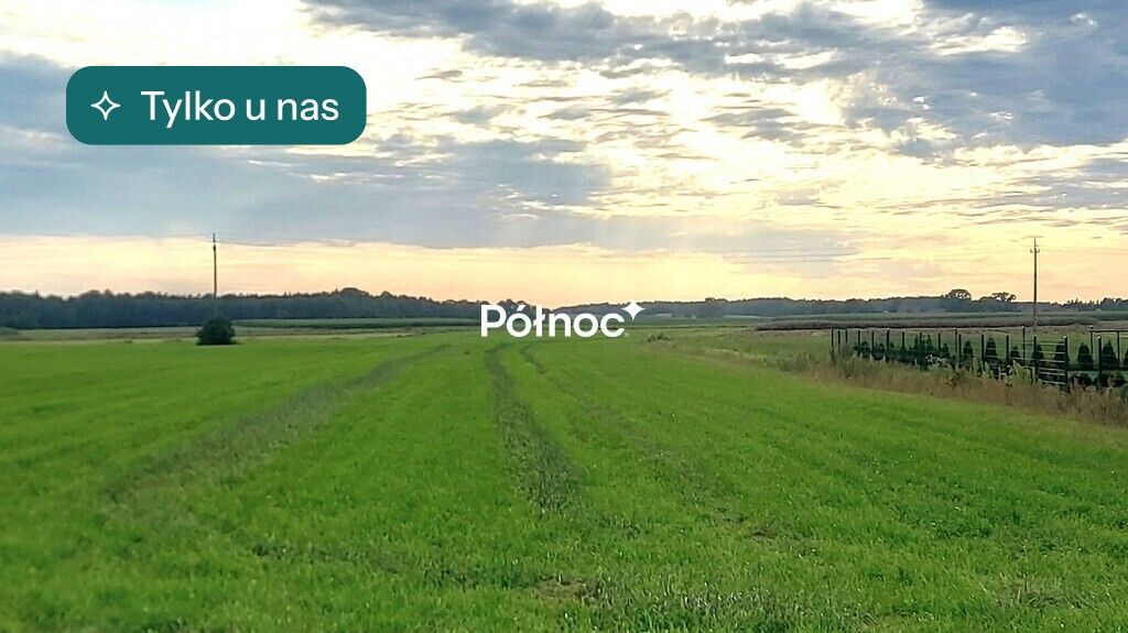 Działka rolna Piecki. Zdjęcie 1