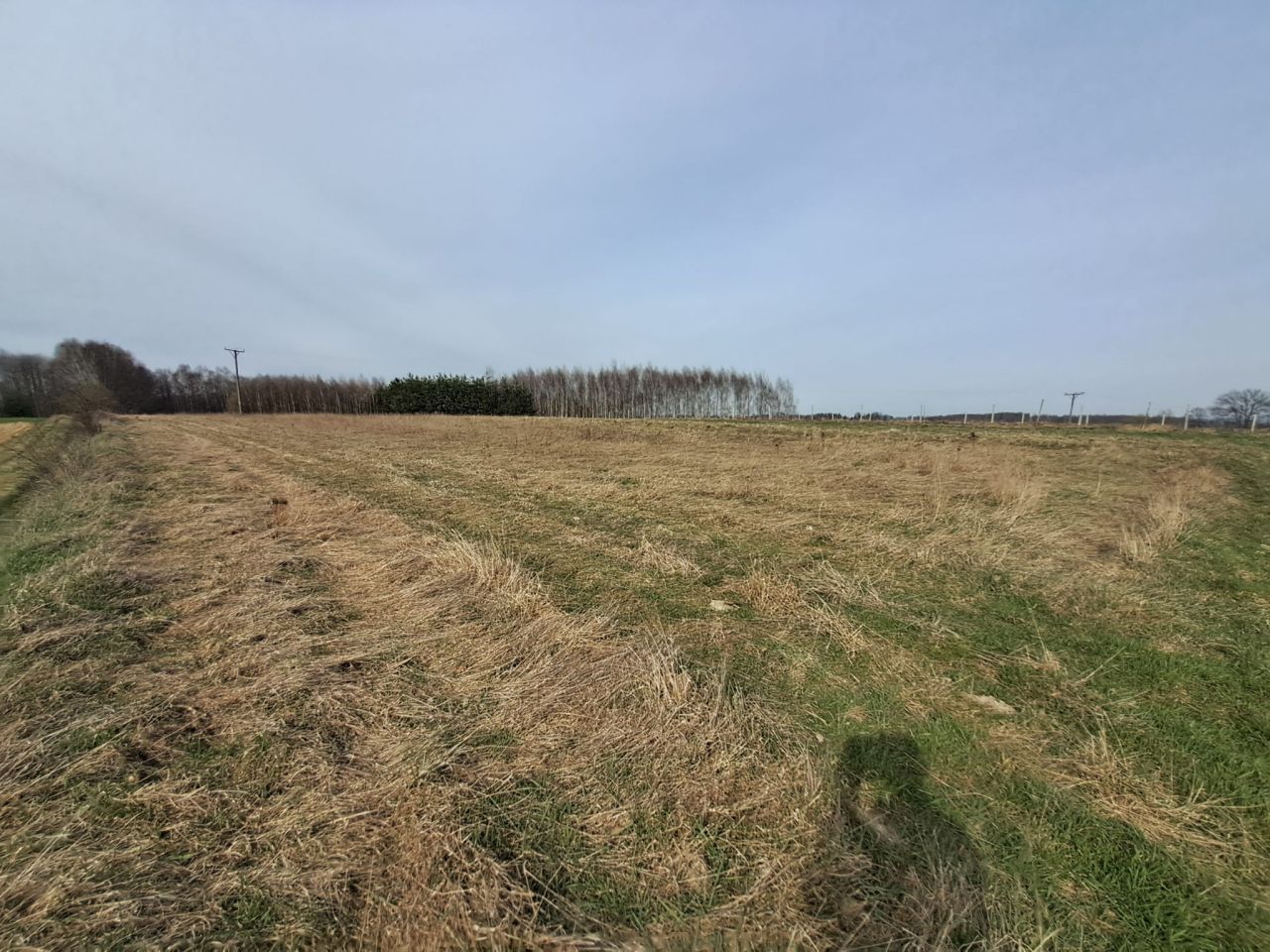 Działka rolna Błażkowa. Zdjęcie 4