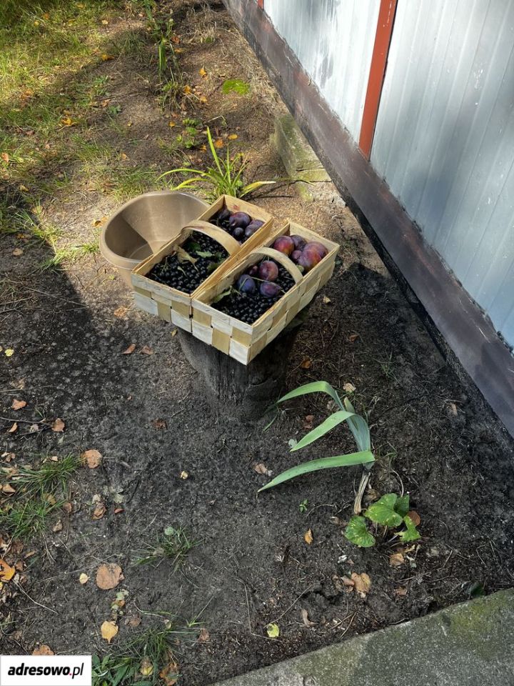 Działka budowlana Mokra Wieś Szymanówek. Zdjęcie 9