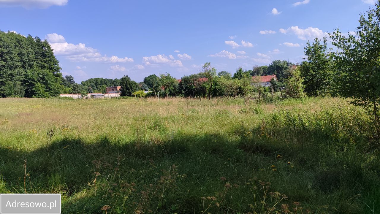 Działka rolna Zielona Góra Nowy Kisielin, ul. Nowy Kisielin-Dolna. Zdjęcie 2