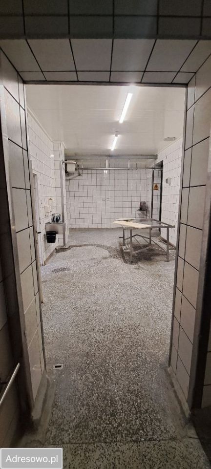 Hala/magazyn Koło, ul. Boguszyniecka. Zdjęcie 12