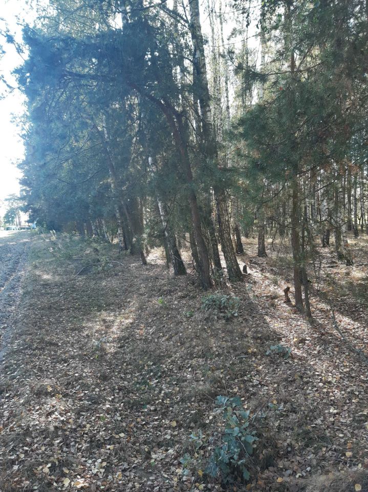 Działka rolna Nowa Wieś-Śladów. Zdjęcie 3