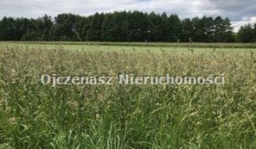 Działka Orłowo