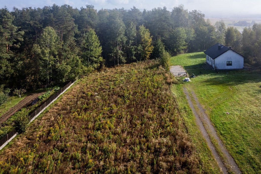 Działka budowlana Oblęgorek. Zdjęcie 4