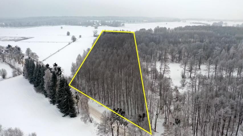 Działka leśna Harsz. Zdjęcie 4