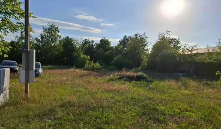 Działka budowlana Warszawa Wawer, ul. Dzięcioła