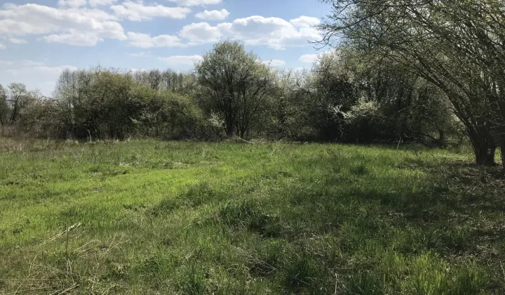 Działka rolno-budowlana Łódź Polesie, ul. Muszkieterów