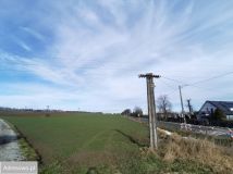 Działka rolna Węgrów. Zdjęcie 4