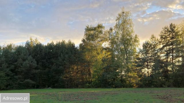 Działka budowlana Terenia, ul. Graniczna. Zdjęcie 1