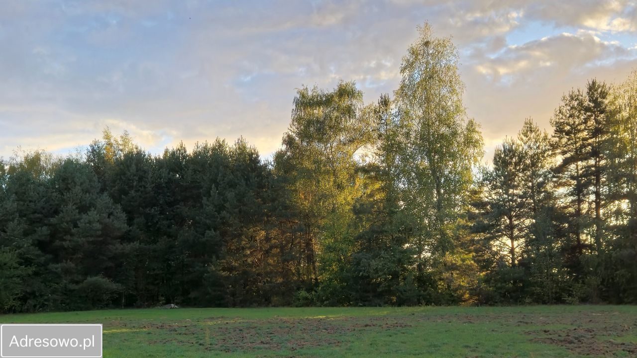 Działka budowlana Terenia, ul. Graniczna